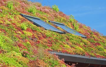 Eathorpe living roof systems