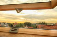 rated Eathorpe roof window companies